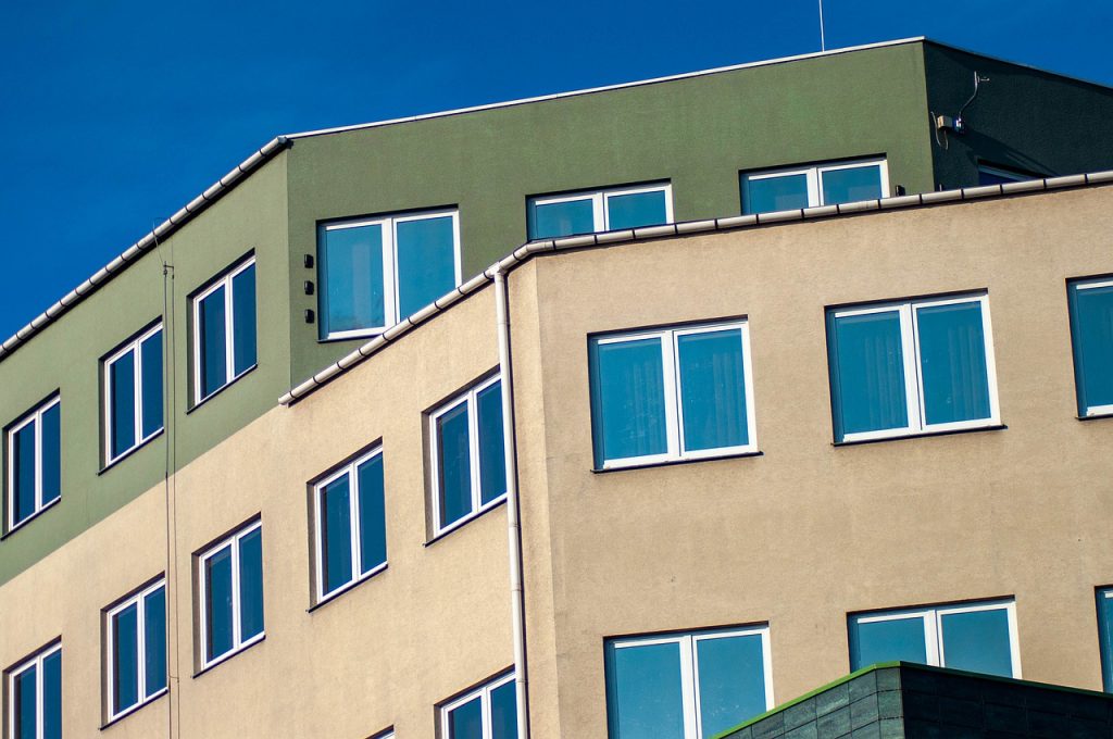 Capital District Property Manager pest control