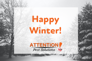 happy winter